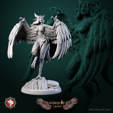 Harpy Bundle